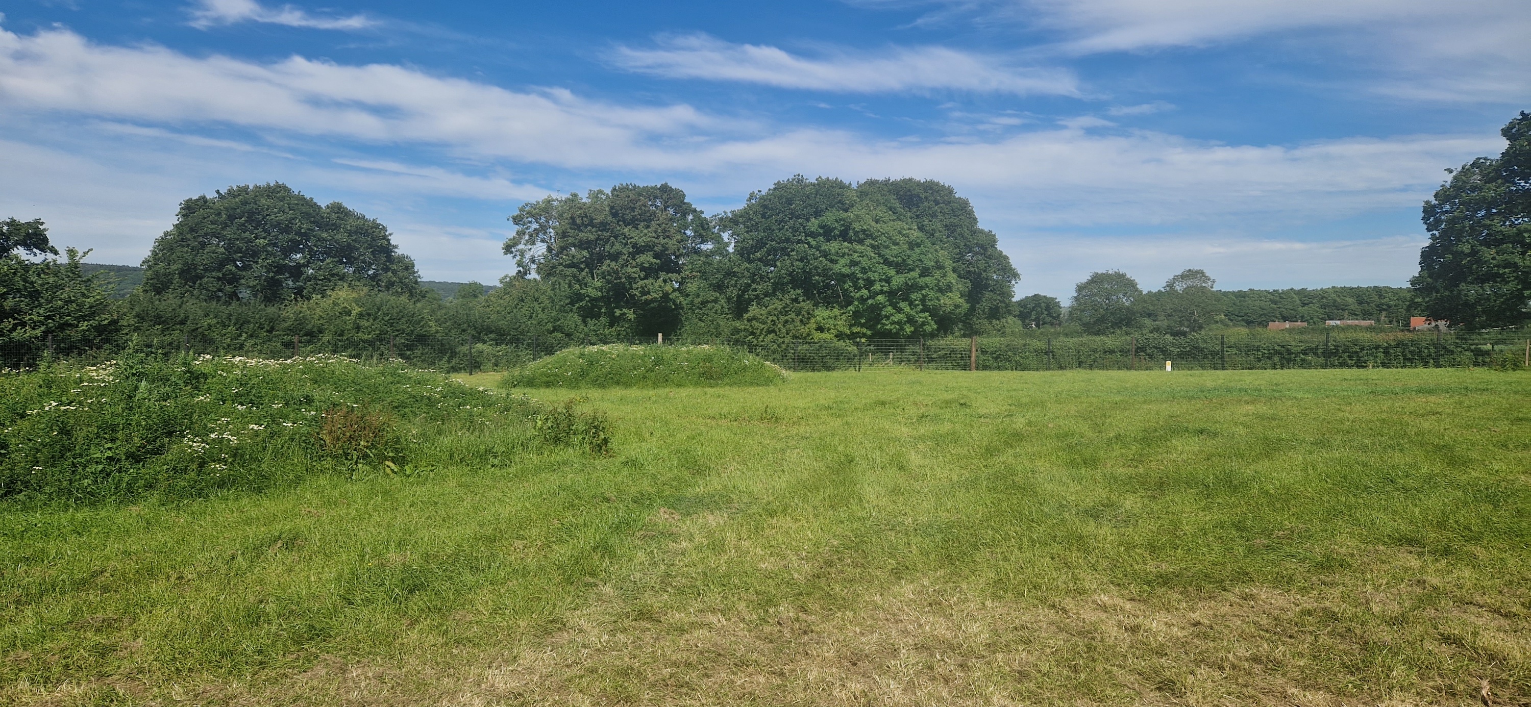 Wide green secure dog walking paddock with countryside views and a fence line
