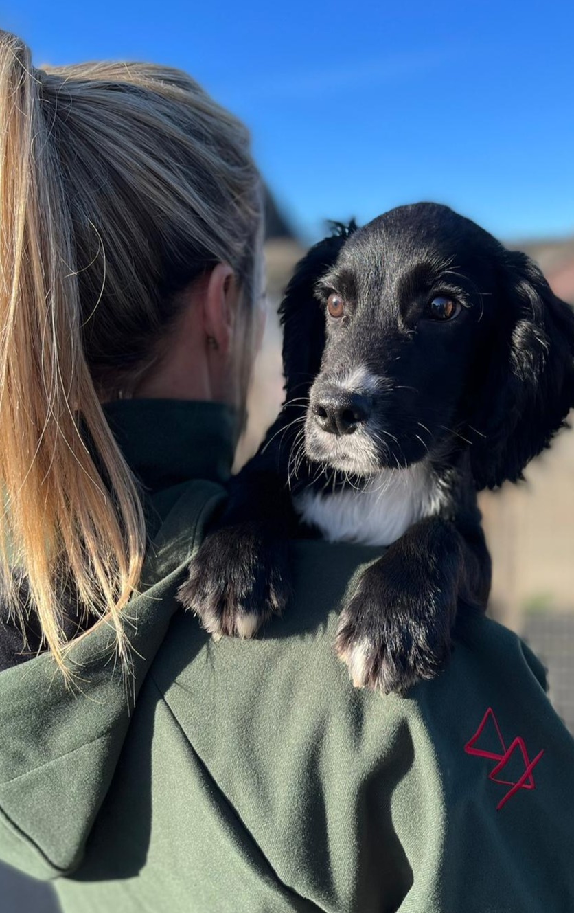 Puppy with a handler outdoors