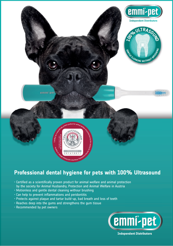 Ultrasonic teeth cleaning information poster with a dog graphic