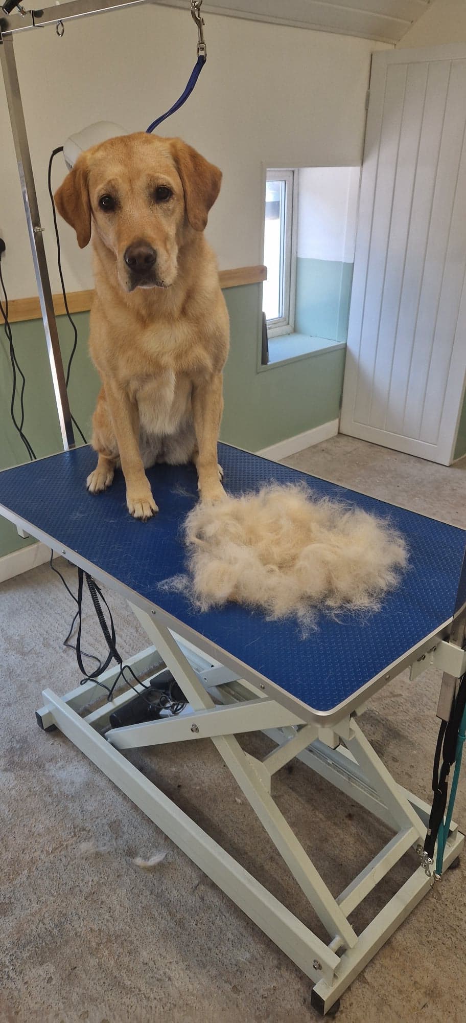 Photo of Returning client